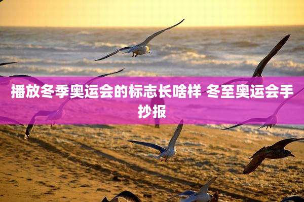 播放冬季奥运会的标志长啥样 冬至奥运会手抄报
