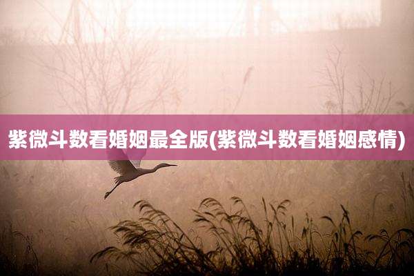 紫微斗数看婚姻最全版(紫微斗数看婚姻感情)