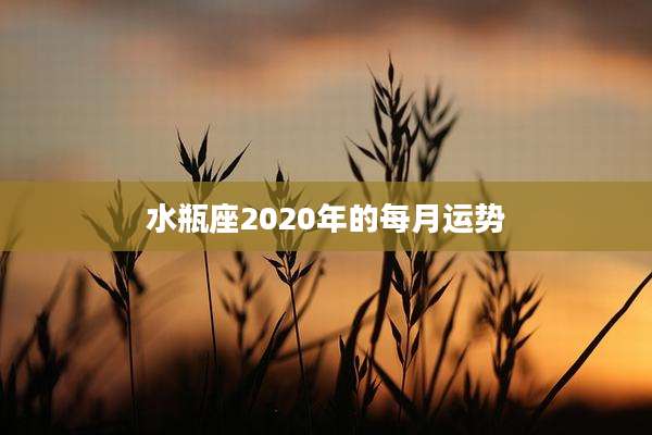 水瓶座2020年的每月运势