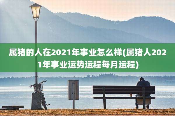 属猪的人在2021年事业怎么样(属猪人2021年事业运势运程每月运程)