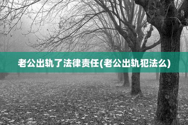 老公出轨了法律责任(老公出轨犯法么)