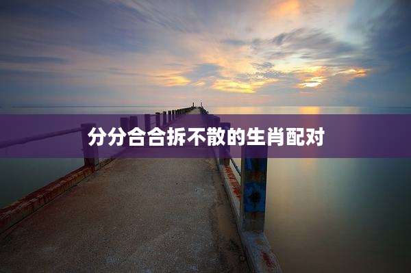 分分合合拆不散的生肖配对