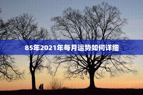 85年2021年每月运势如何详细