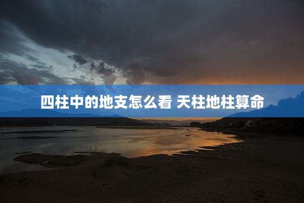 四柱中的地支怎么看 天柱地柱算命