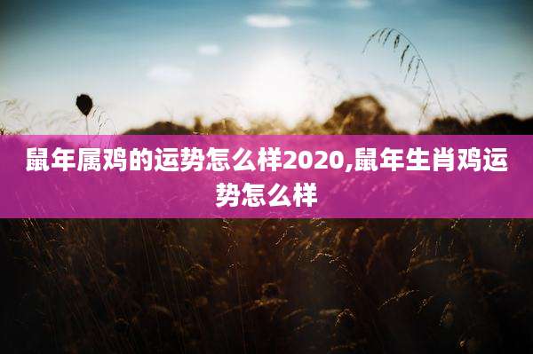 鼠年属鸡的运势怎么样2020,鼠年生肖鸡运势怎么样