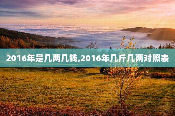 2016年是几两几钱,2016年几斤几两对照表