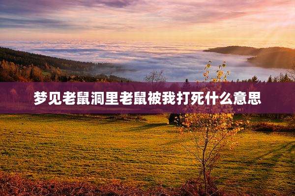 梦见老鼠洞里老鼠被我打死什么意思
