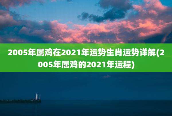 2005年属鸡在2021年运势生肖运势详解(2005年属鸡的2021年运程)