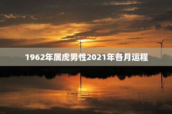 1962年属虎男性2021年各月运程