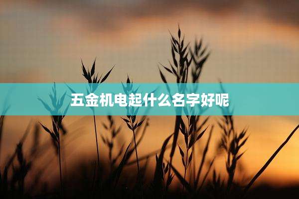 五金机电起什么名字好呢