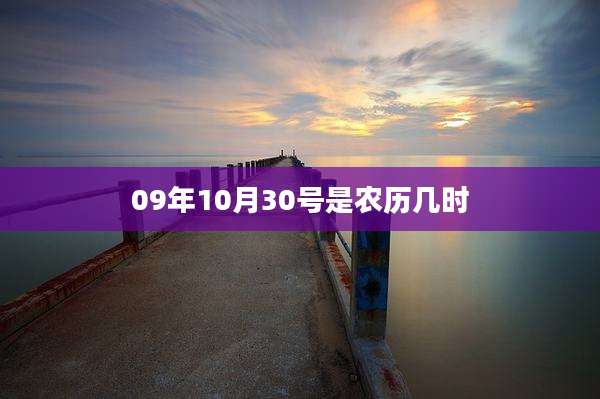 09年10月30号是农历几时