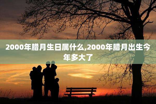 2000年腊月生日属什么,2000年腊月出生今年多大了