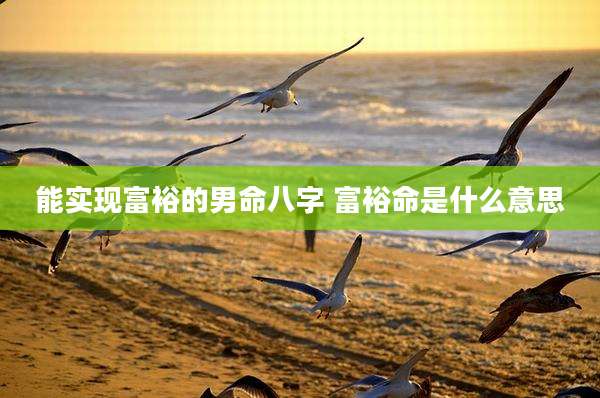 能实现富裕的男命八字 富裕命是什么意思