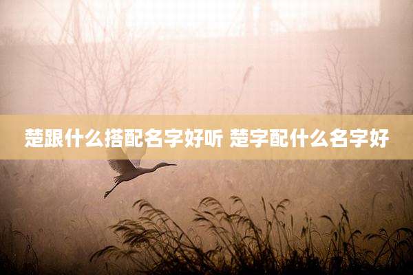 楚跟什么搭配名字好听 楚字配什么名字好