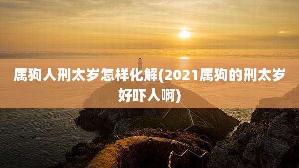属狗人刑太岁怎样化解(2021属狗的刑太岁好吓人啊)
