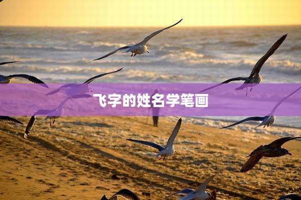 飞字的姓名学笔画
