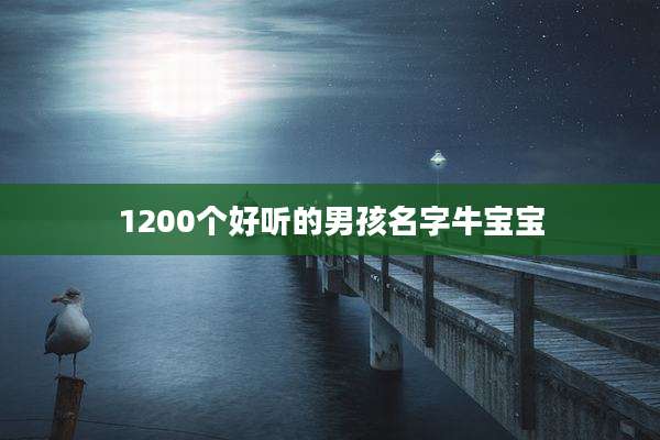 1200个好听的男孩名字牛宝宝