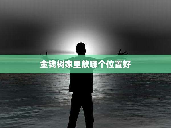 金钱树家里放哪个位置好