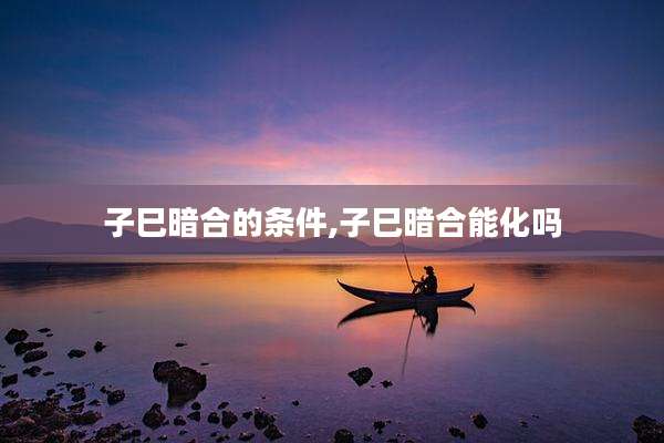 子巳暗合的条件,子巳暗合能化吗