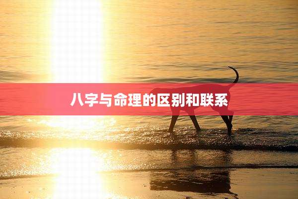 八字与命理的区别和联系