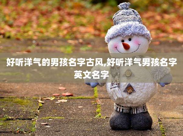 好听洋气的男孩名字古风,好听洋气男孩名字英文名字