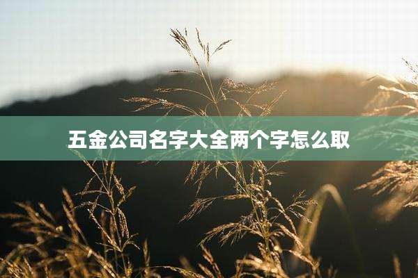 五金公司名字大全两个字怎么取