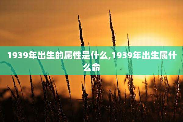 1939年出生的属性是什么,1939年出生属什么命