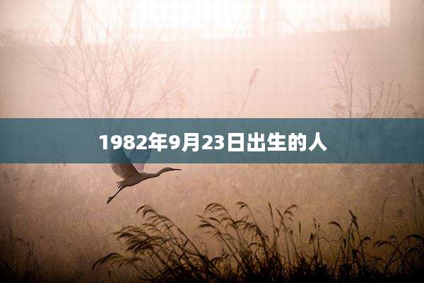 1982年9月23日出生的人