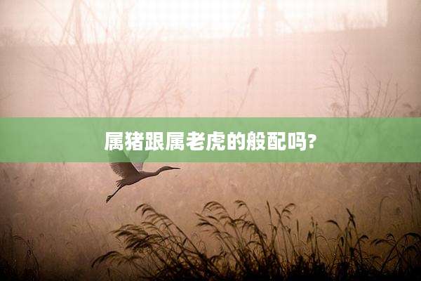 属猪跟属老虎的般配吗?