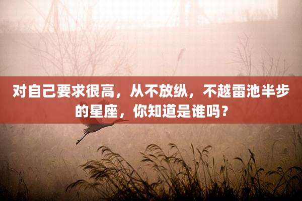 对自己要求很高，从不放纵，不越雷池半步的星座，你知道是谁吗？