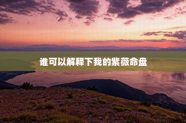 谁可以解释下我的紫薇命盘