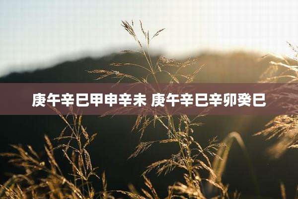 庚午辛巳甲申辛未 庚午辛巳辛卯癸巳