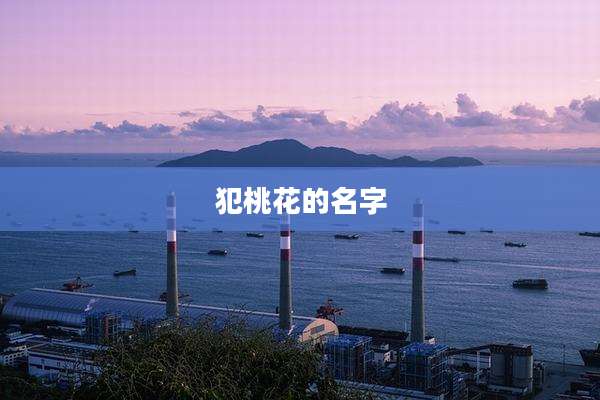 犯桃花的名字