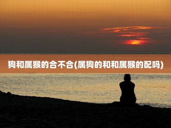 狗和属猴的合不合(属狗的和和属猴的配吗)
