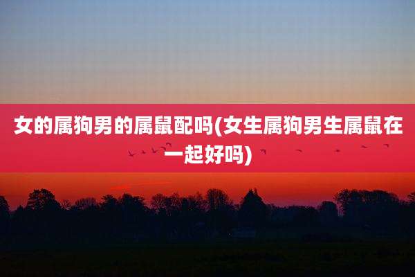 女的属狗男的属鼠配吗(女生属狗男生属鼠在一起好吗)