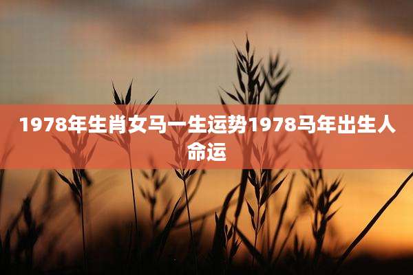 1978年生肖女马一生运势1978马年出生人命运