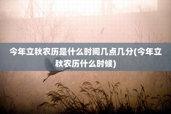 今年立秋农历是什么时间几点几分(今年立秋农历什么时候)
