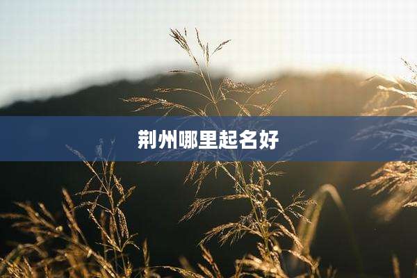 荆州哪里起名好