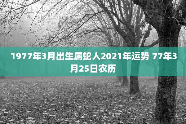1977年3月出生属蛇人2021年运势 77年3月25日农历