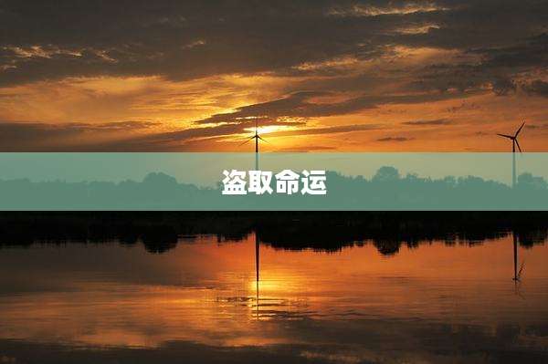 盗取命运