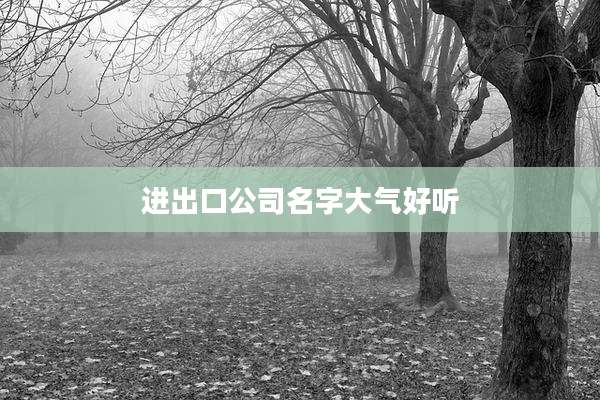 进出口公司名字大气好听