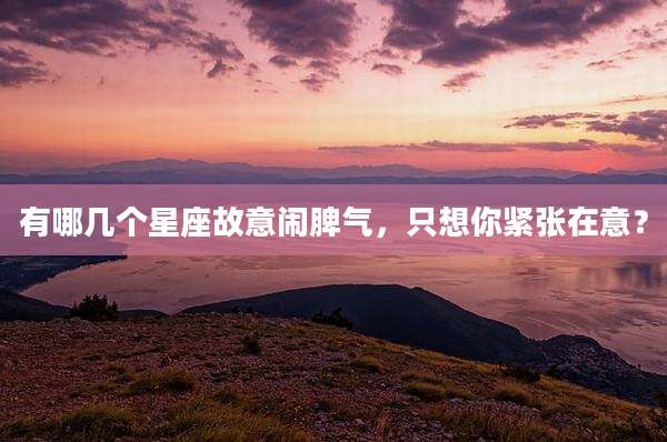 有哪几个星座故意闹脾气，只想你紧张在意？