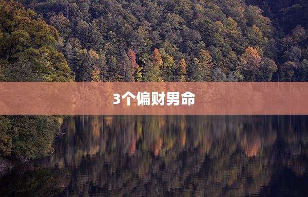 3个偏财男命