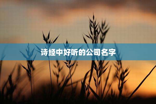 诗经中好听的公司名字