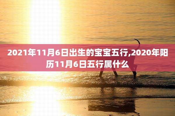 2021年11月6日出生的宝宝五行,2020年阳历11月6日五行属什么