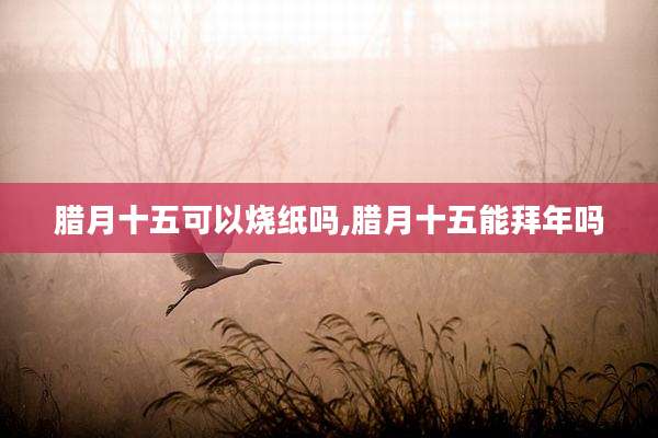 腊月十五可以烧纸吗,腊月十五能拜年吗