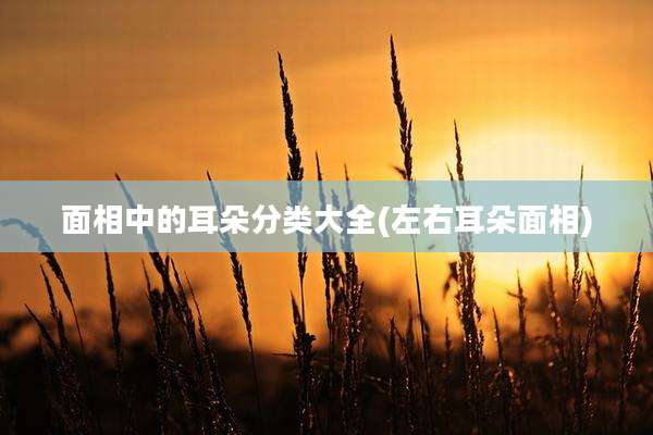 面相中的耳朵分类大全(左右耳朵面相)