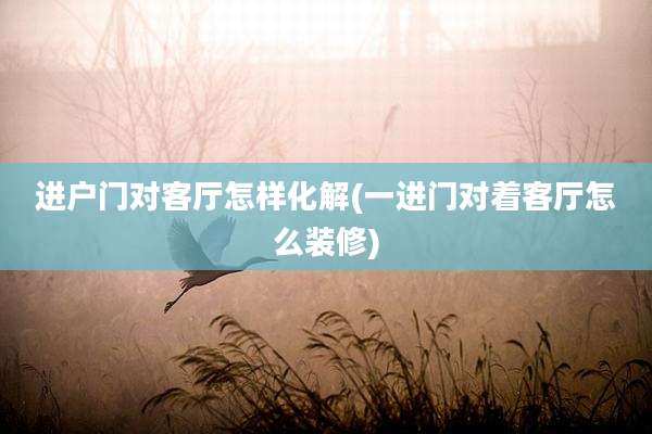 进户门对客厅怎样化解(一进门对着客厅怎么装修)