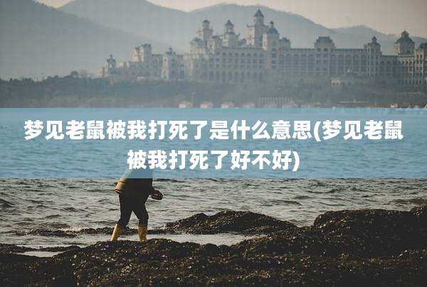 梦见老鼠被我打死了是什么意思(梦见老鼠被我打死了好不好)
