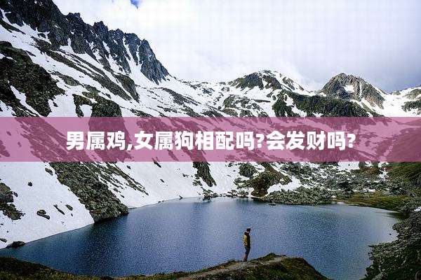 男属鸡,女属狗相配吗?会发财吗?